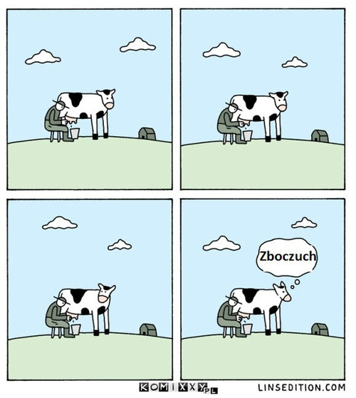 Przemyślenia krowy –  