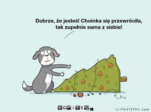 Złośliwa choinka –  