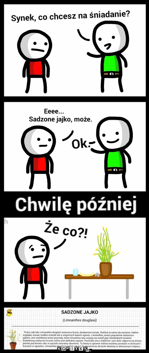 Śniadanie –  