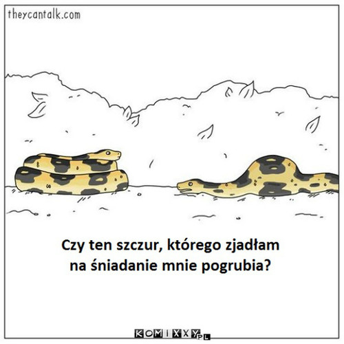 Posiłek –  