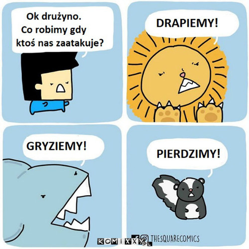 Drużyna –  