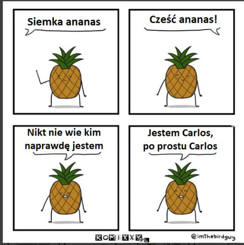 Tylko nie ananas –  