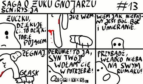 Saga o żuku gnojarzu #13 –  