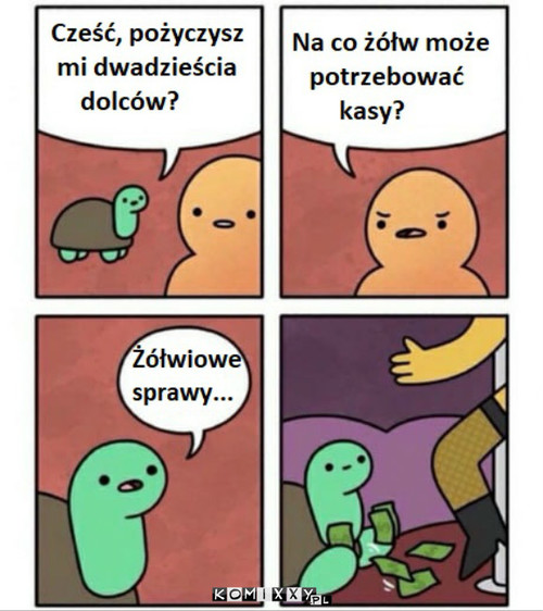 Takie tam żółwiowe sprawy –  