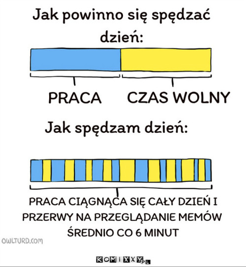 Życiowy wykres –  