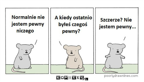 Pewność  –  