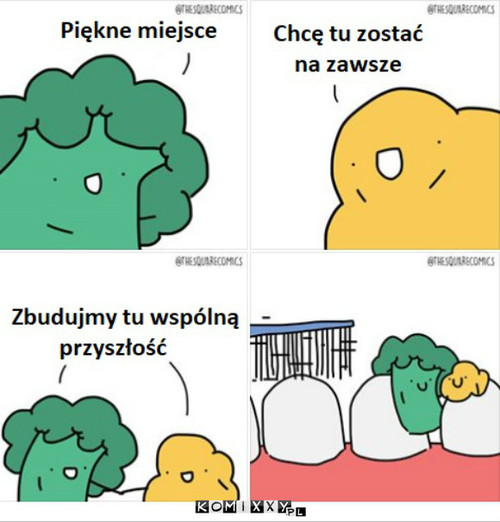 Zostajemy tu –  