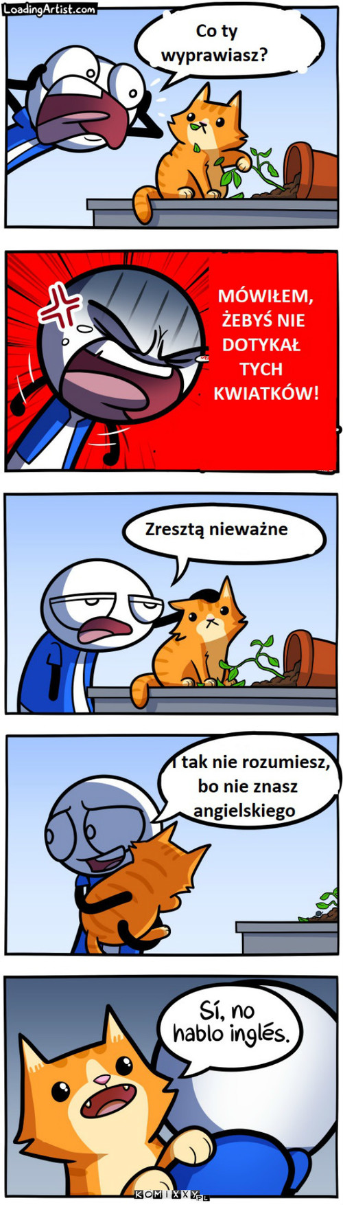 Nie zrozumie –  