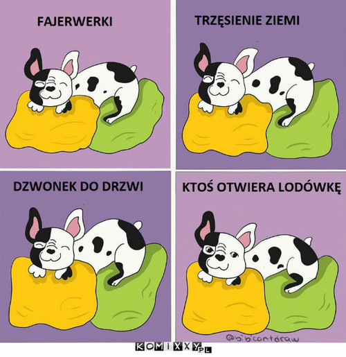 Mój pies –  