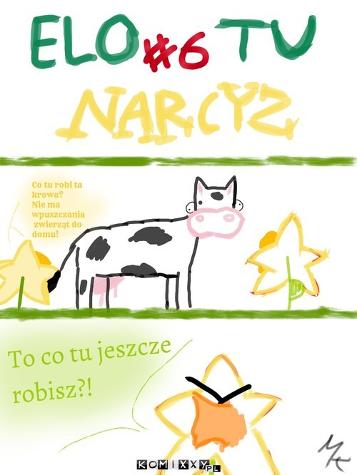 Elo Tu Narcyz #6 –  