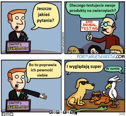 Testy na zwierzętach –  