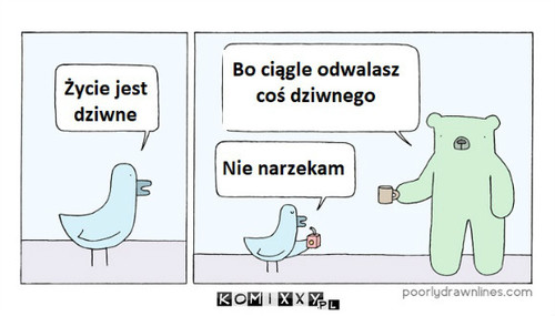 Ja tylko stwierdzam –  