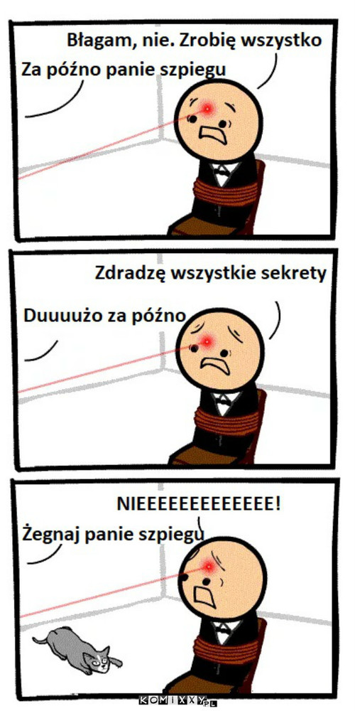 Biedny pan szpieg –  