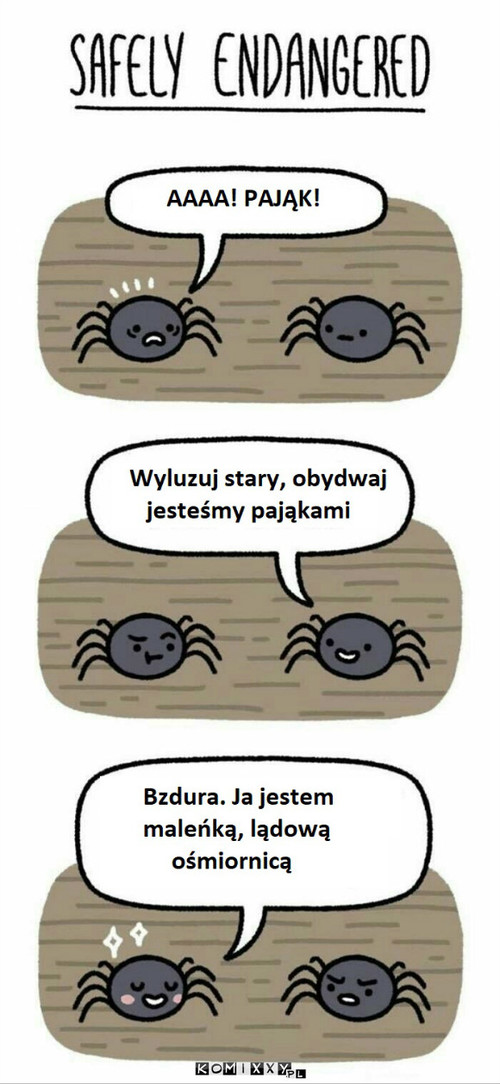 Pająk –  