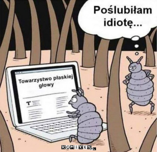 Idioci wszędzie –  