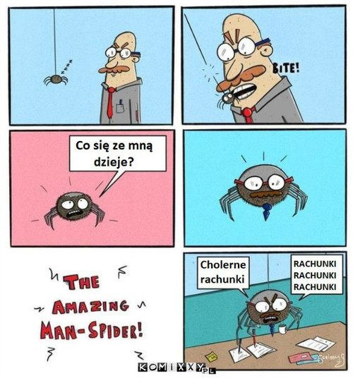 Biedny pająk –  