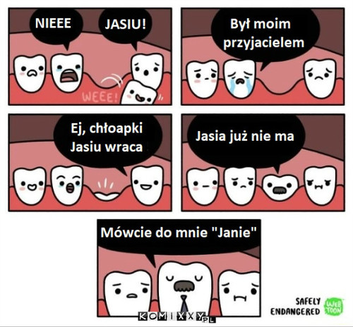 Dorosłość –  