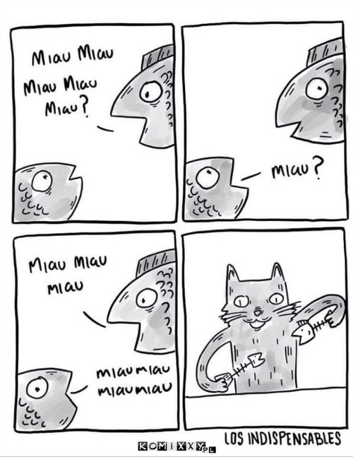 Miauuu –  