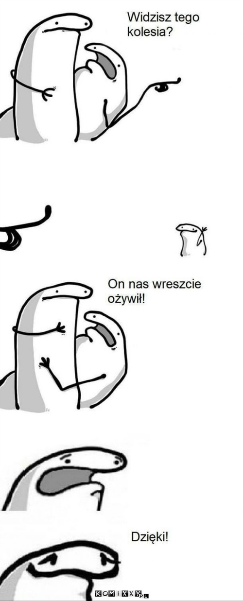 Warto je ożywiać? –  