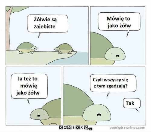 Żółwie –  