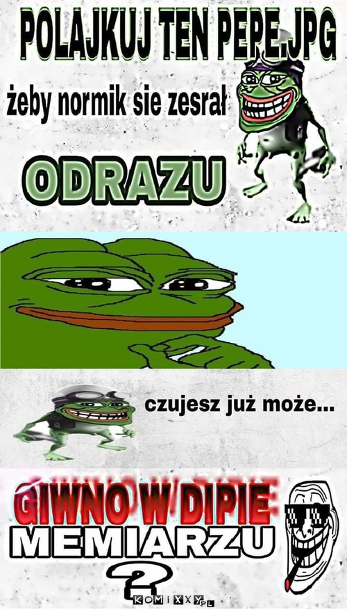 POCZUJ OZEZWIENIE –  