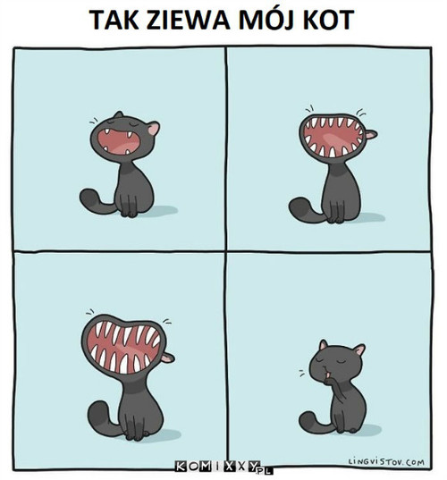 Zieeeew –  