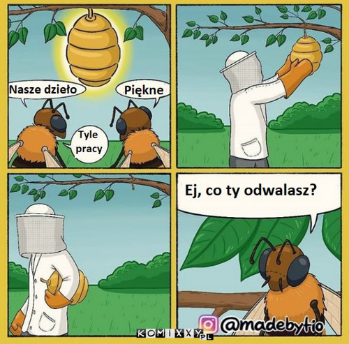 Człowiek –  