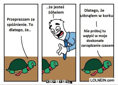 Żółw –  