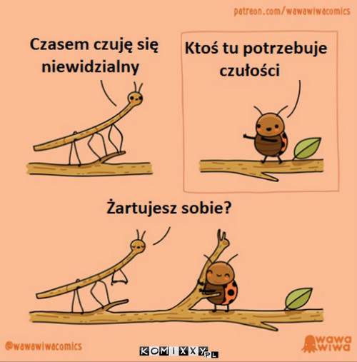 Odrobina czułości –  