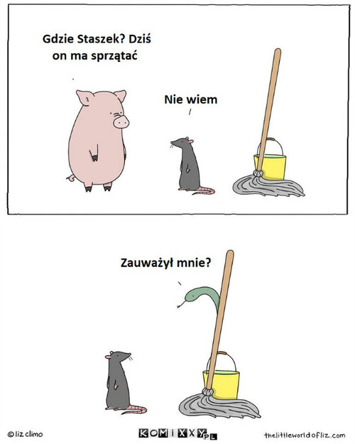 Wąż –  