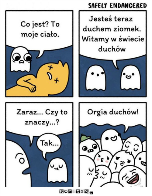 Świat duchów –  