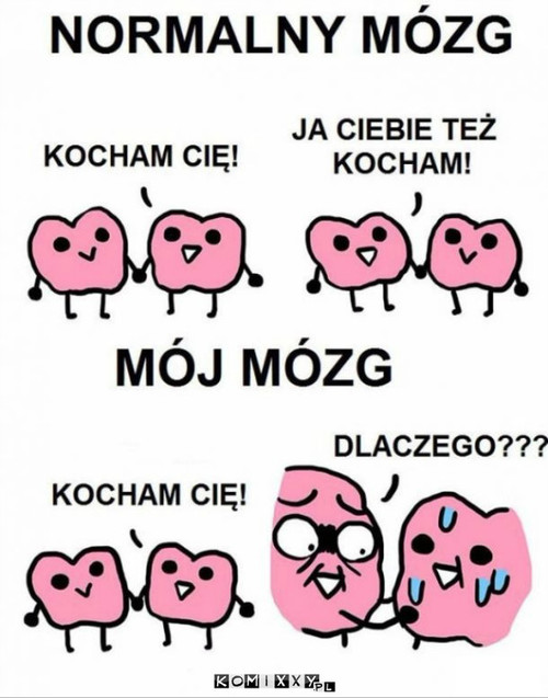 Mój mózg –  